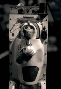 ​世界上第1个登上太空的动物（盘点离开地球进入太空的那些动物）