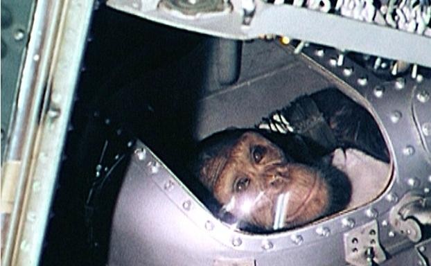 世界上第1个登上太空的动物（盘点离开地球进入太空的那些动物）(2)