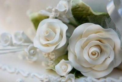 白玫瑰代表什么，一朵红玫瑰和一朵白玫瑰各代表什么意思？图2