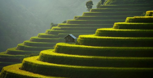 十大公认最好闻的香水男士(10款好闻不贵的男士香水)插图8