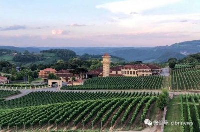 ​广东葡萄酒庄园(葡萄酒蚂蚁庄园)