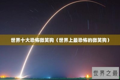 ​世界十大恐怖微笑狗（世界上最恐怖的微笑狗）