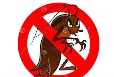 ​如何灭蟑，家里发现蟑螂，如何干净有效的消灭？