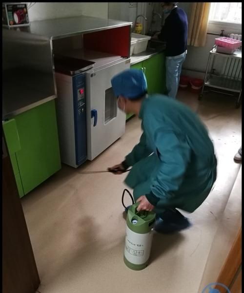 怎么才能彻底消灭蟑螂