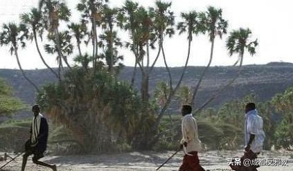 世界第一穷国家是哪里（全世界最穷的国家排名）