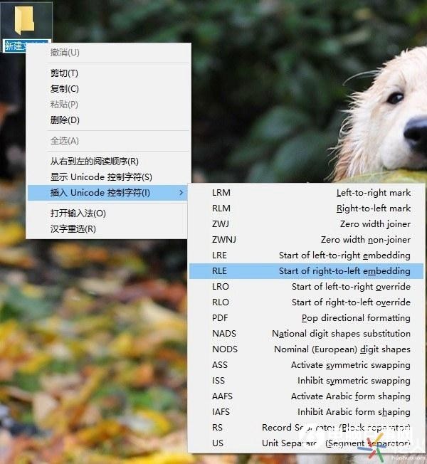 电脑文件夹里面的文件怎么隐藏（教你一招巧妙隐藏电脑文件）(2)