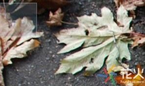 电脑文件夹里面的文件怎么隐藏（教你一招巧妙隐藏电脑文件）(4)