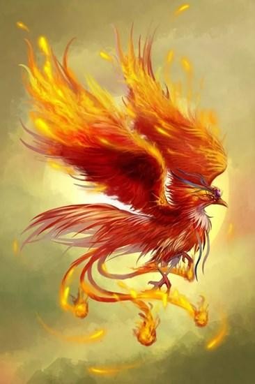 上古神兽凤凰到底有多厉害（百禽之王的神鸟凤凰）(12)