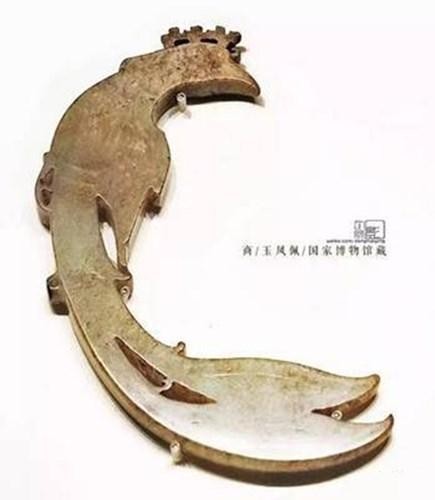 上古神兽凤凰到底有多厉害（百禽之王的神鸟凤凰）(3)