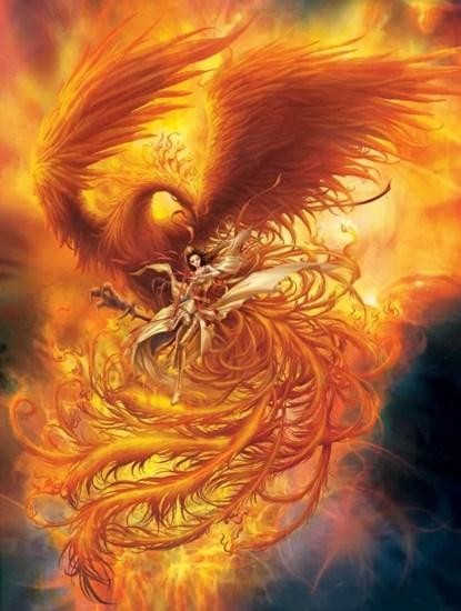 上古神兽凤凰到底有多厉害（百禽之王的神鸟凤凰）(4)