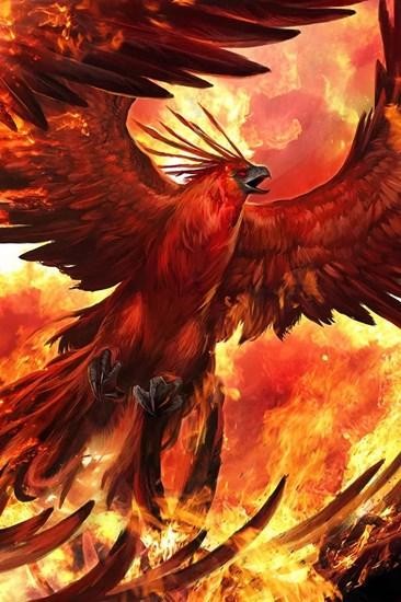 上古神兽凤凰到底有多厉害（百禽之王的神鸟凤凰）(13)