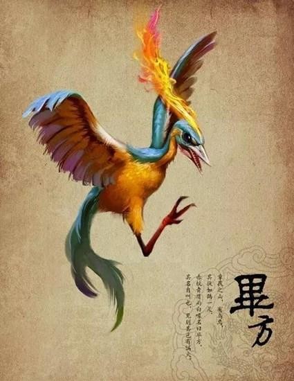 上古神兽凤凰到底有多厉害（百禽之王的神鸟凤凰）(5)