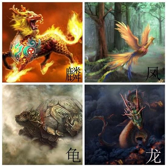 上古神兽凤凰到底有多厉害（百禽之王的神鸟凤凰）(9)