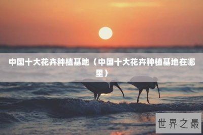 ​中国十大花卉种植基地（中国十大花卉种植基地在哪里）