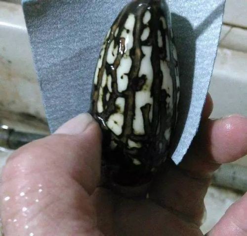 千眼菩提子打磨到什么程度最好(千眼菩提子打磨到什么程度)-第2张图片-