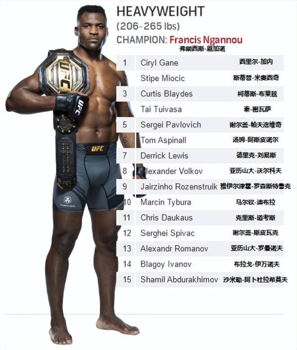 ufc排名最新2025（ufc世界排名最新）-1