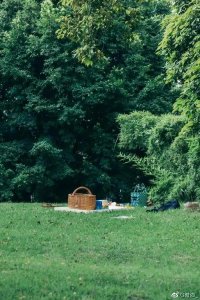​草编包一定是拿捏住夏日氛围的最佳单品
