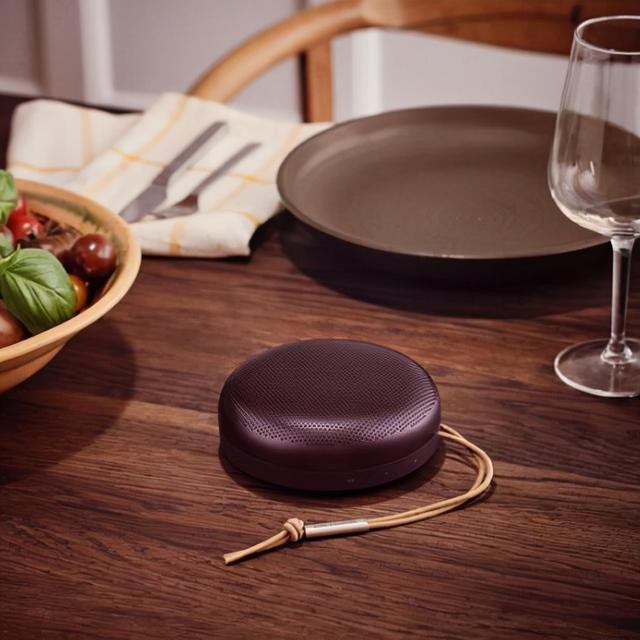 世界十大顶级家用音响（它是皇室御用音响品牌）(11)