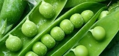 螺蛳粉上边的黑点是什么