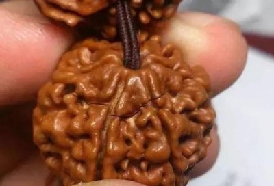 ​金刚菩提子怎么保养(金刚菩提子保养方法介绍)