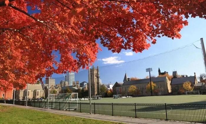 多伦多是全球最多元化的都市之一