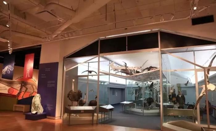 多伦多是全球最多元化的都市之一