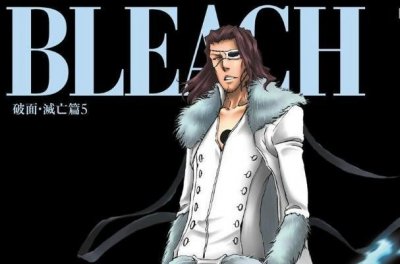 ​堪称拖起了整部动漫的破面篇十刃们，他们的最终下场都是如何呢？