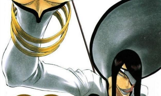 堪称拖起了整部动漫的破面篇十刃们，他们的最终下场都是如何呢？