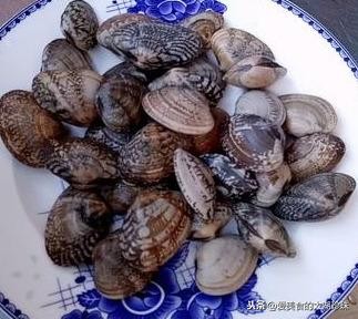 花甲怎么吐沙效果最快（花甲这样吐沙又快又干净）(2)