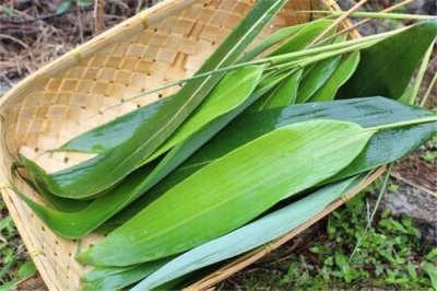 ​世界上最大的粽子：四千斤（破吉尼斯纪录）