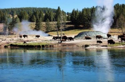 ​世界十大自然保护区排行榜：扎龙自然保护区拥有400只丹顶鹤