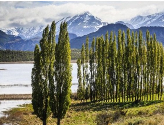 世界十大自然保护区排行榜：扎龙自然保护区拥有400只丹顶鹤