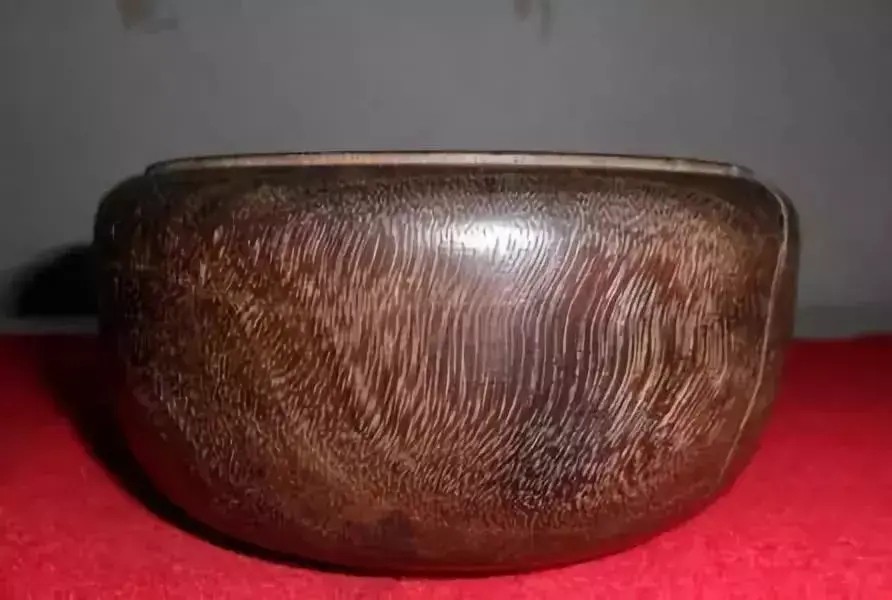 世界值钱的树木(十大名贵树木排名)