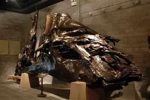 世界值钱的树木(十大名贵树木排名)