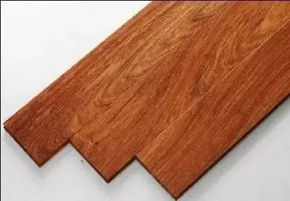 世界值钱的树木(十大名贵树木排名)