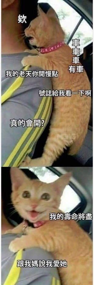 要是什么就什么造句子，如何用“要是……也……”造句？图3