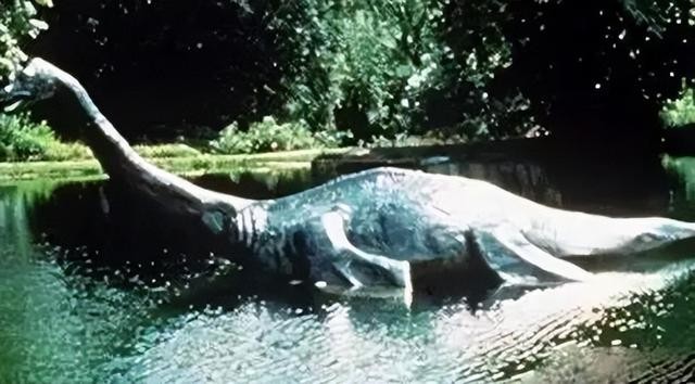 尼斯湖水怪到底长什么样（曾真实发作过的四大水怪）(5)