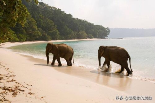 世界上十大最漂亮的海滩(世界10大美丽海滩排行榜)插图5