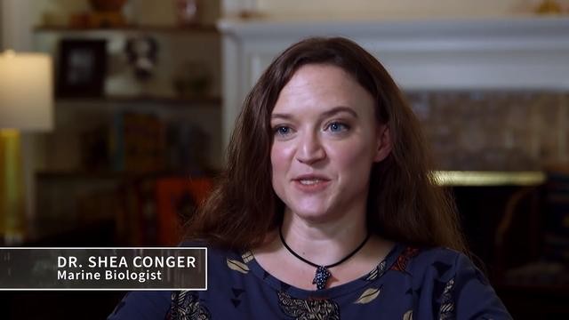 世界上真正的有水怪吗（加拿大湖发现神秘）(7)