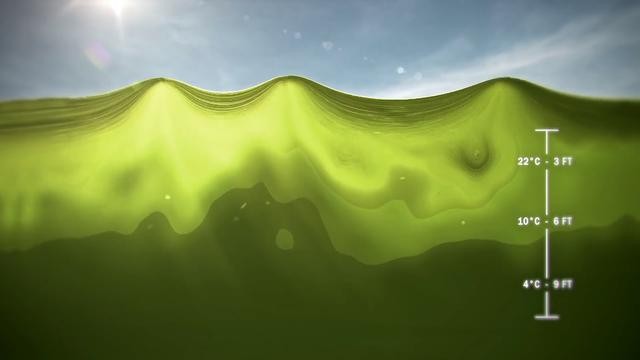 世界上真正的有水怪吗（加拿大湖发现神秘）(8)