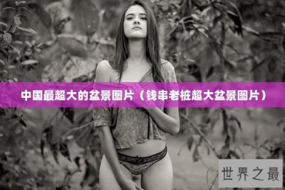​中国最超大的盆景图片（钱串老桩超大盆景图片）