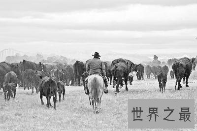 世界上最大的人口迁移，叙利亚难民危机1.58亿人口大迁移！