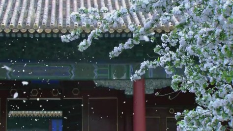 北京故宫历史资料(故宫的历史具体资料介绍)