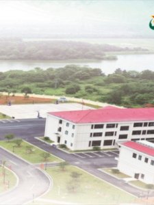 ​民兵训练(民兵训练什么人才能去)