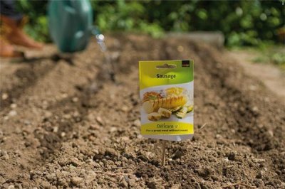 ​化肥发明者是谁：李比希发明化肥（促进农作物生长）