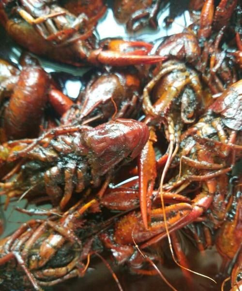 怎么确定龙虾是熟透的