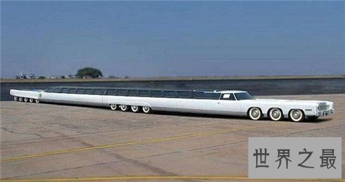 世界上最长的豪华轿车，内部还配有游泳池和草坪