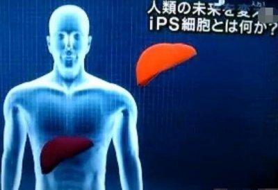 ​科学钻研人体器官复活，缺胳膊少腿不妨长复本_复活没有再是梦