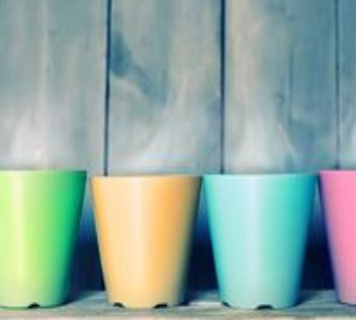 新杯子第一次使用应该怎样除异味,新杯子第一次使用应该怎样除异味呢图1