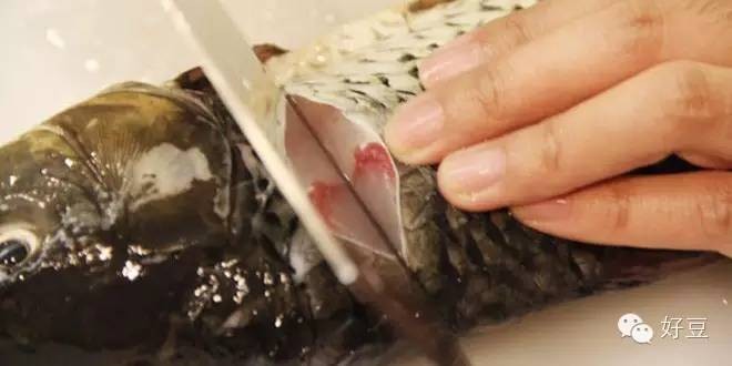 如何杀鱼及杀鱼的技巧（分享1个简单易学的杀鱼技巧）